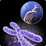 genetica_molecular